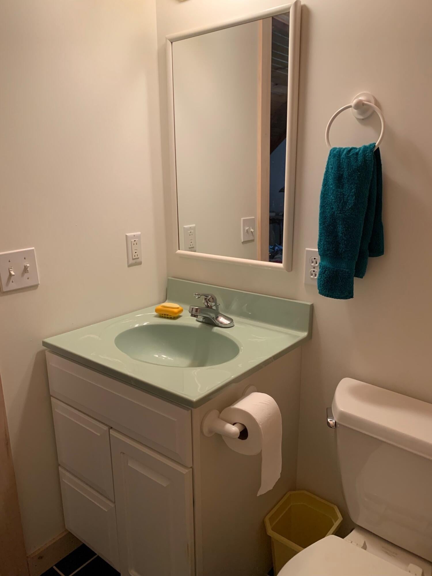 10966 North Whitefish Point Road Paradise, MI 49768 - Photo 23 of 30 Gallery Image 23