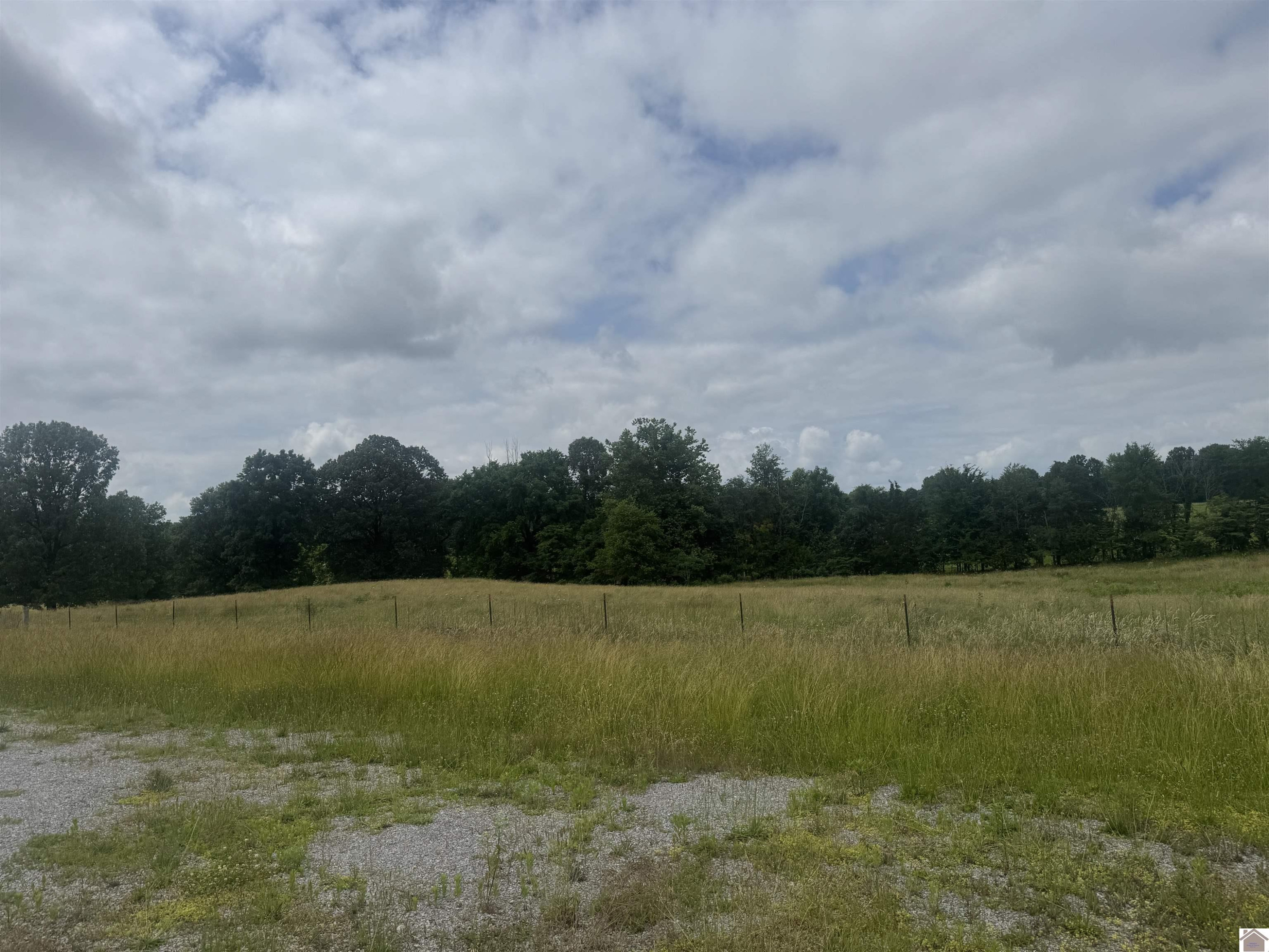 0 Dooms Chapel Road Symsonia, KY 42082 - Photo 7 of 35 Photo 7