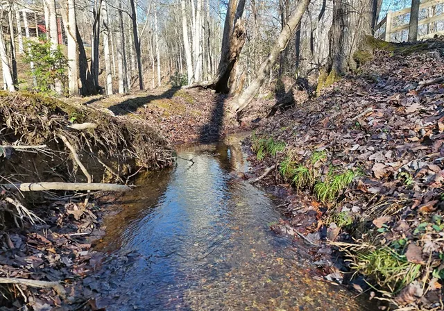 $375,000 | 154 Hollyanne Pond, Hayesville, NC 28904