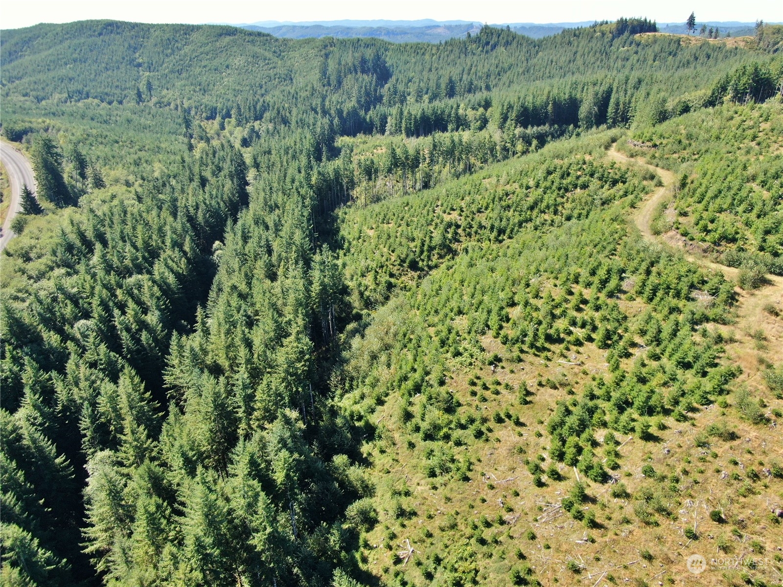 -off Of Lund Road Cosmopolis, WA 98537 - Photo 6 of 16