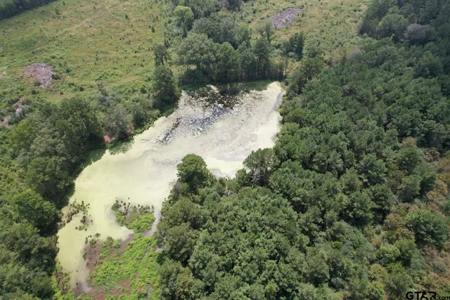 $322,518 | 1662 West St Laneville Tx 75667, Laneville, TX 75667