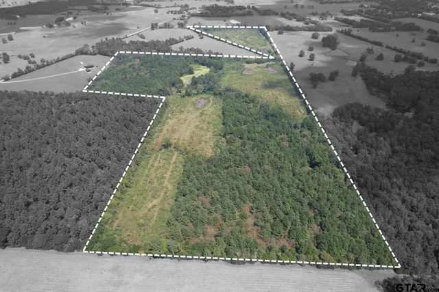 $322,518 | 1662 West St Laneville Tx 75667, Laneville, TX 75667