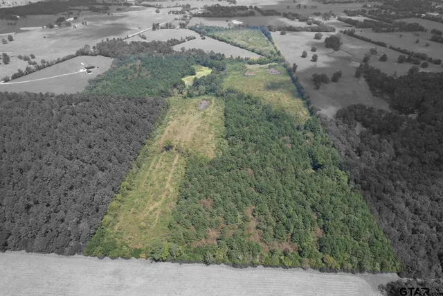 $322,518 | 1662 West St Laneville Tx 75667, Laneville, TX 75667