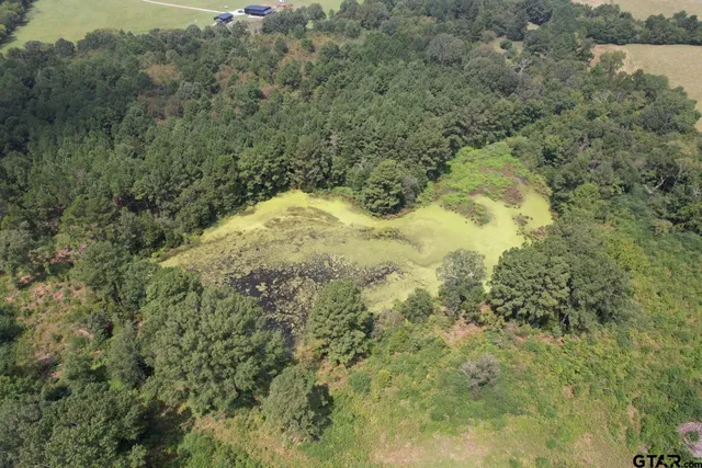 $322,518 | 1662 West St Laneville Tx 75667, Laneville, TX 75667