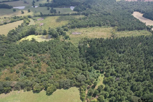 $322,518 | 1662 West St Laneville Tx 75667, Laneville, TX 75667