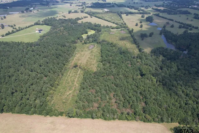 $322,518 | 1662 West St Laneville Tx 75667, Laneville, TX 75667