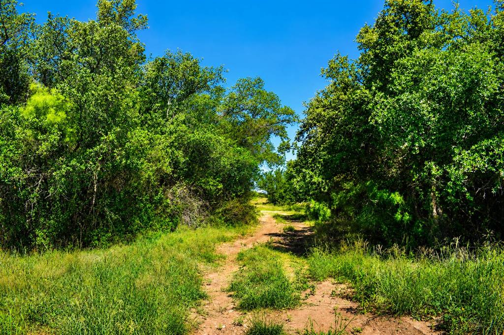 8228 Us Highway Rochelle, TX 76872 - Photo 31 of 36 a view of a yard