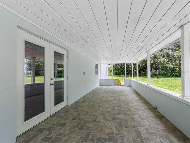 a view of backyard with large trees and plants