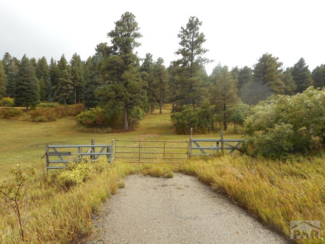 8360 Highway 165 Rye, CO 81069 - Photo 1 of 1
