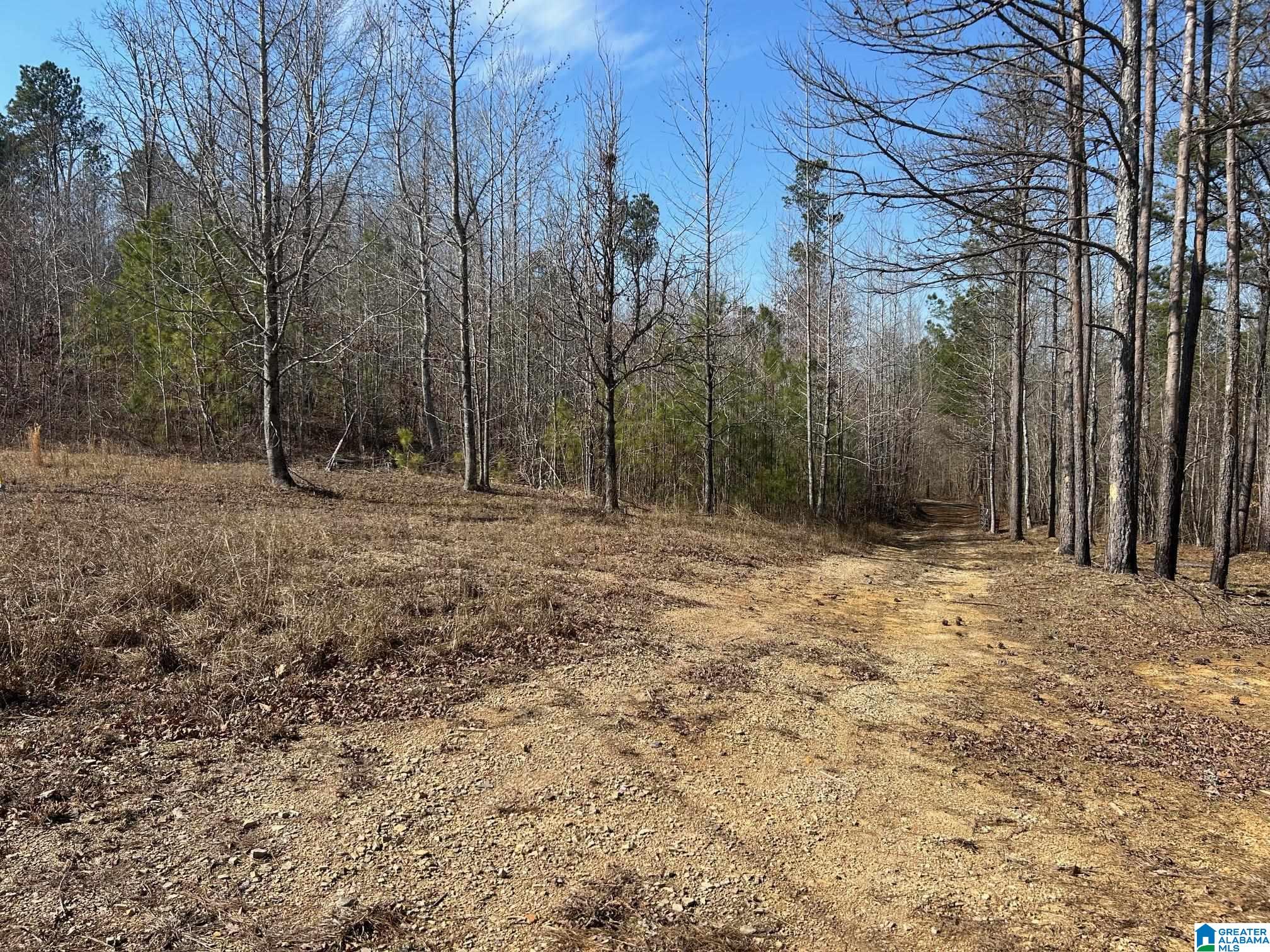 203 Pope Road Ohatchee, AL 36271 - Photo 24 of 31