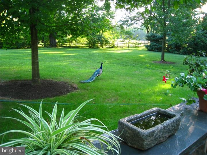 764 Hillview Road Malvern, PA 19355 - Photo 12 of 20 Gallery Image 12