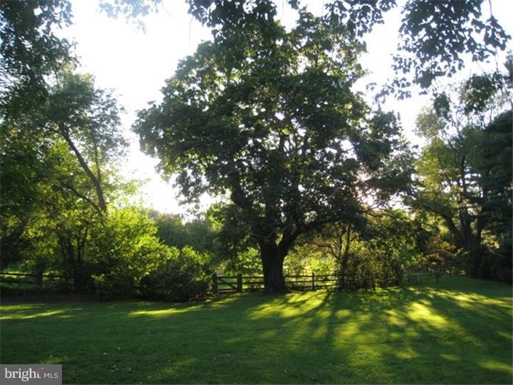 764 Hillview Road Malvern, PA 19355 - Photo 4 of 20 Back Yard