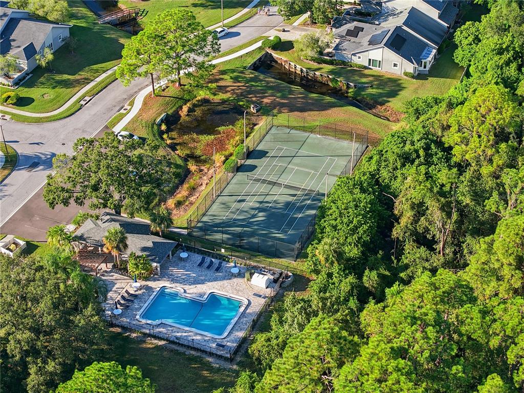 106 Hunter Court Palm Harbor, FL 34684 - Photo 20 of 21 an aerial view of residential house with outdoor space