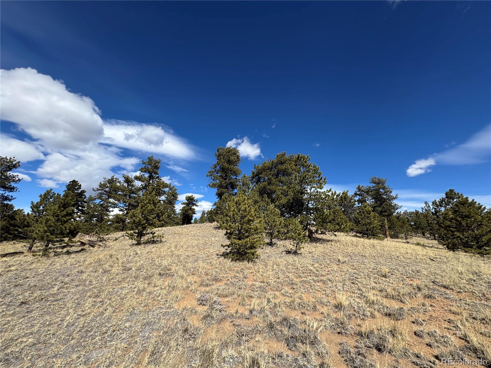 62 Powder Way Como, CO 80432 - Photo 7 of 7
