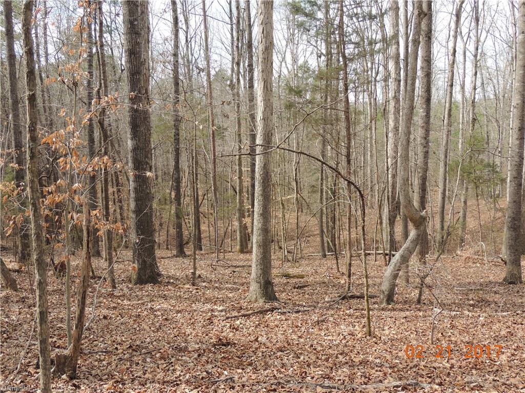 0 Pleasant Union Road Denton, NC 27239 - Photo 14 of 19 Gallery Image 14