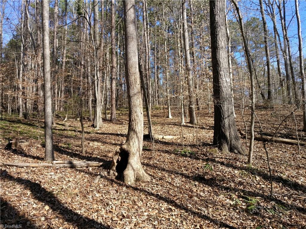 0 Pleasant Union Road Denton, NC 27239 - Photo 3 of 19 Nice wooded tract of land with a good mix of hardwoods for mast crop (acorns) and some pine for good bedding areas for wildlife.