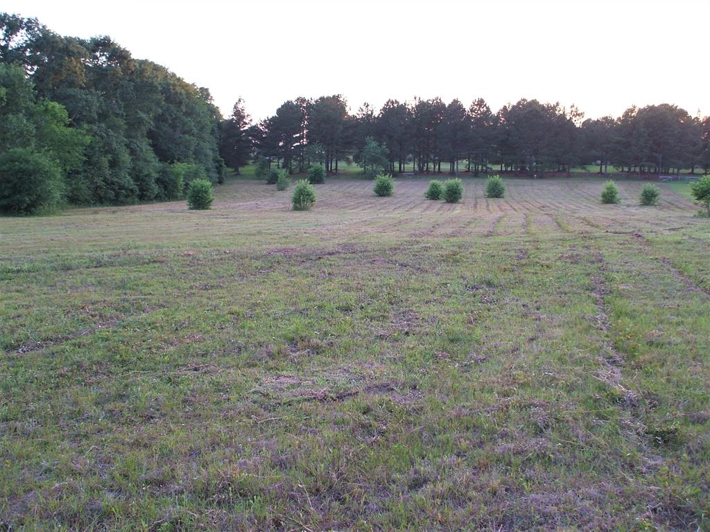 0 Holland Road Newton, AL 36352 - Photo 1 of 1