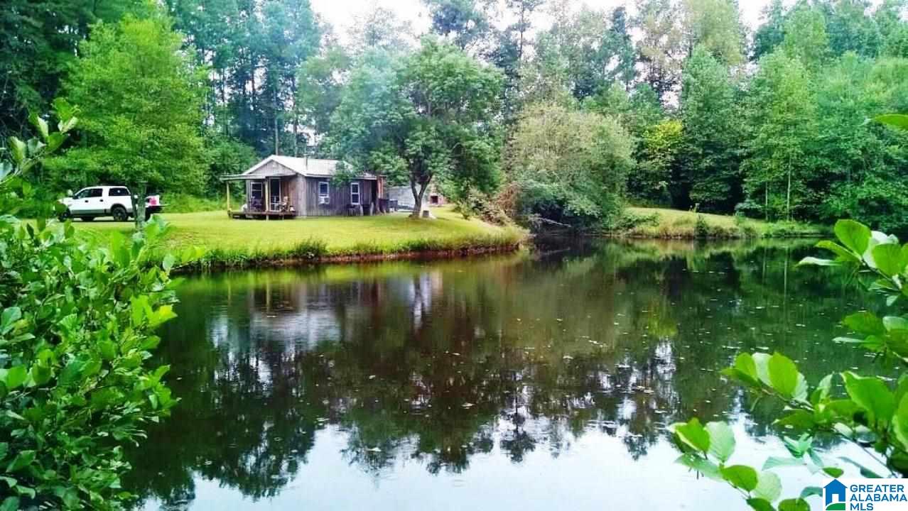 266 Lake David Road Lineville, AL 36266 - Photo 4 of 19