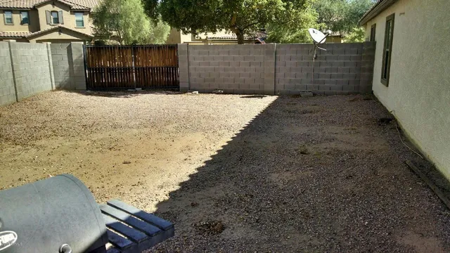 a view of a backyard
