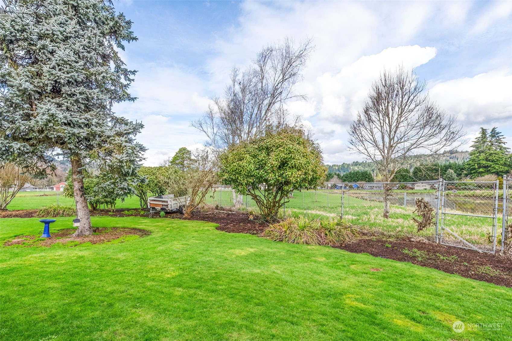 10 Lee Place Longview, WA 98632 - Photo 32 of 38 a view of a park with large trees