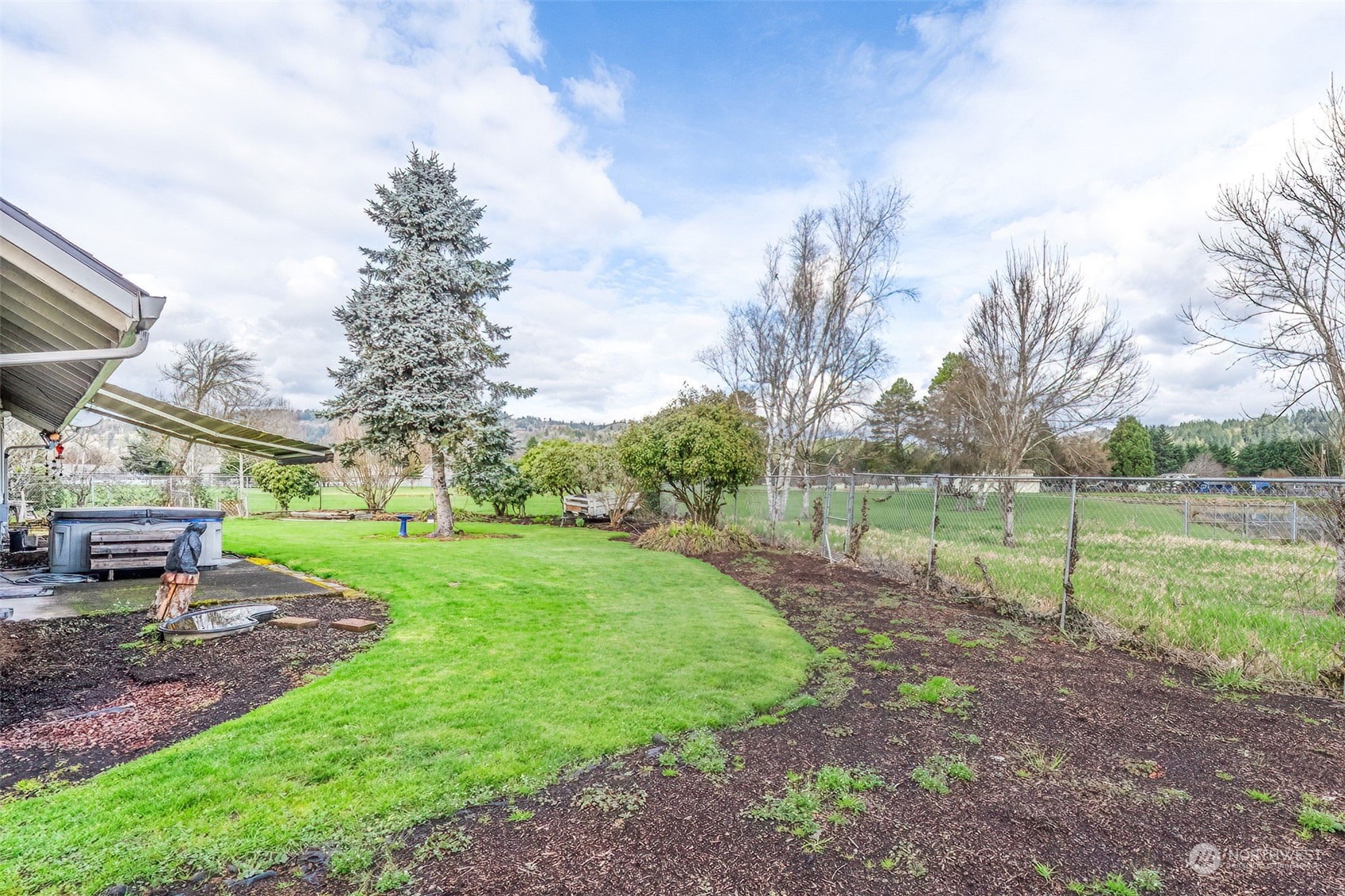 10 Lee Place Longview, WA 98632 - Photo 33 of 38 a view of a park with large trees