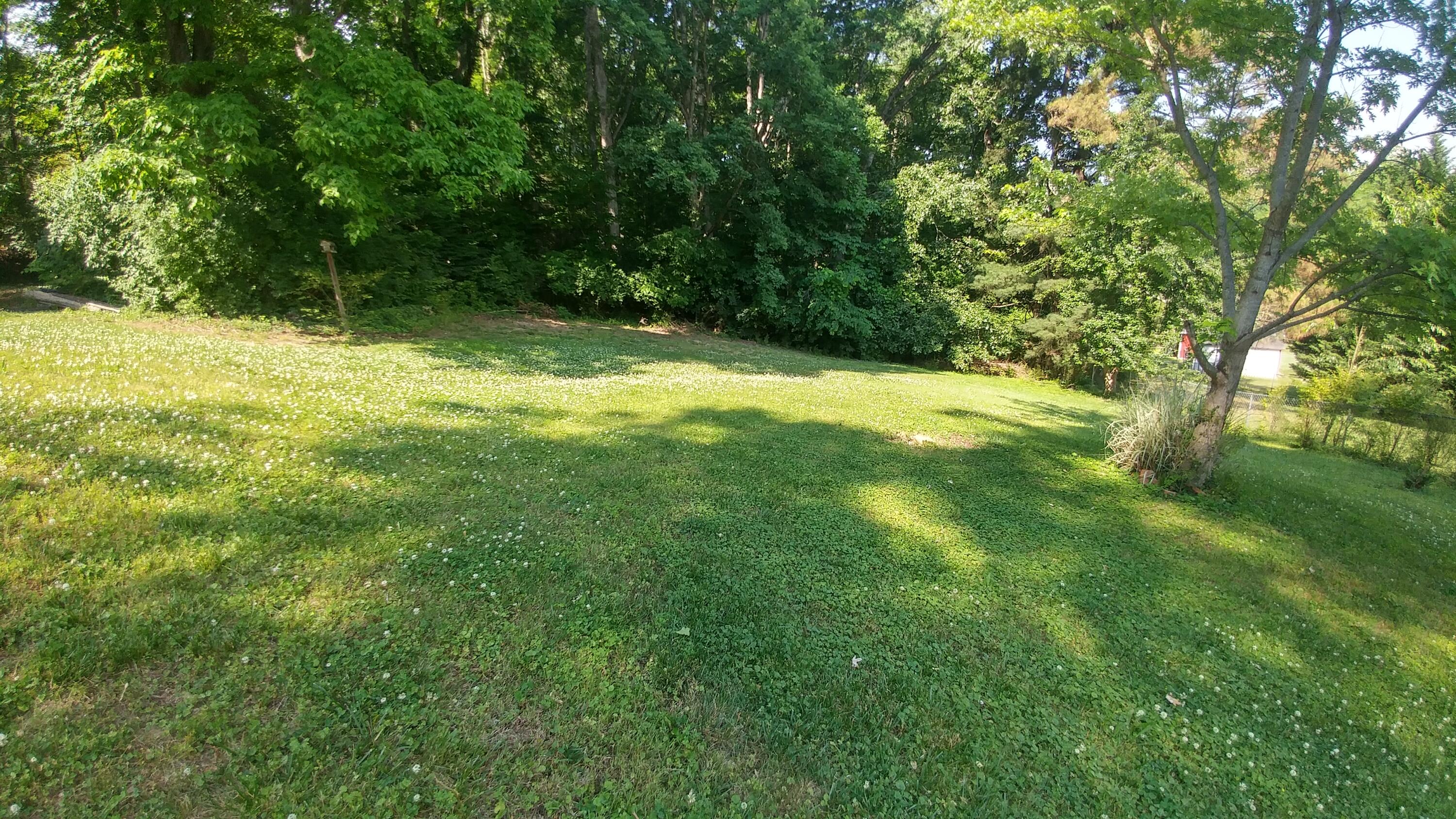 134 North Seneca Road Oak Ridge, TN 37830 - Photo 24 of 25 0525211615a_HDR