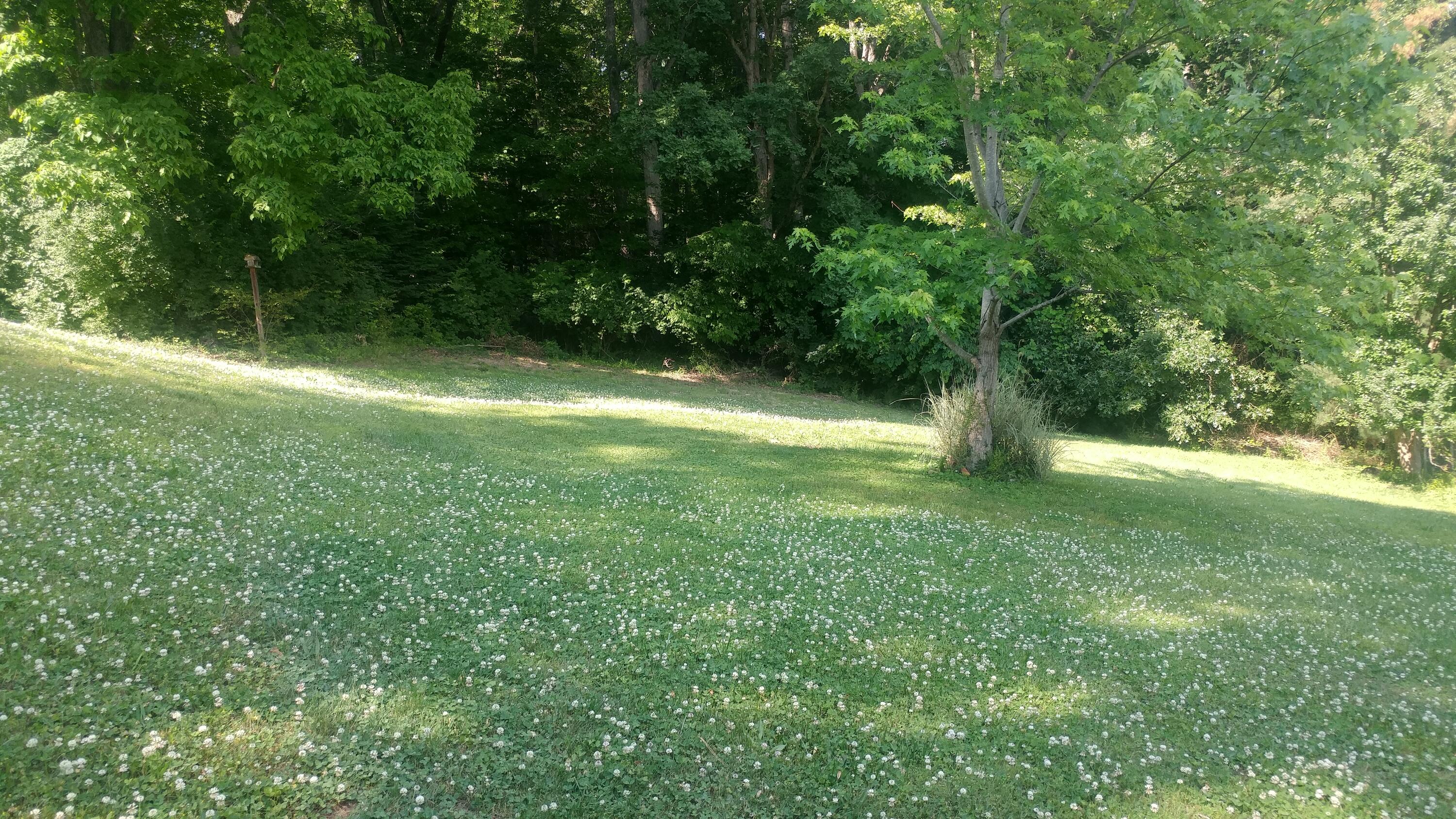 134 North Seneca Road Oak Ridge, TN 37830 - Photo 25 of 25 0525211614_HDR