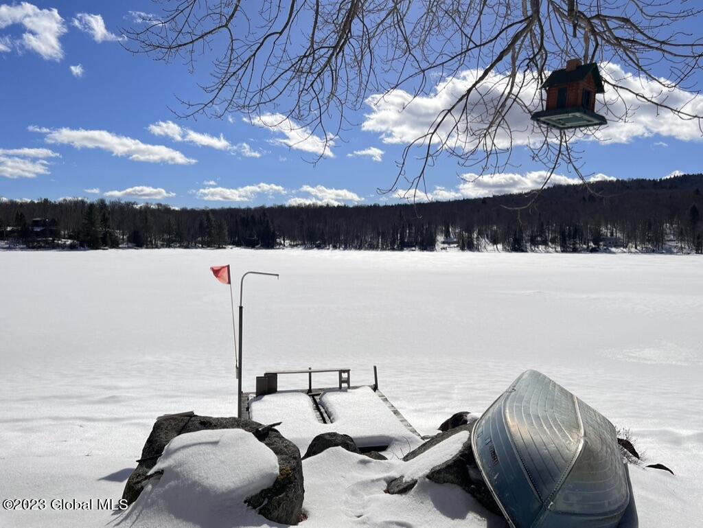 1108 Goodnow Flow Road Newcomb, NY 12852 - Photo 19 of 46 F29C7068-073E-423E-9ABE-8F56737C06EF_1_1