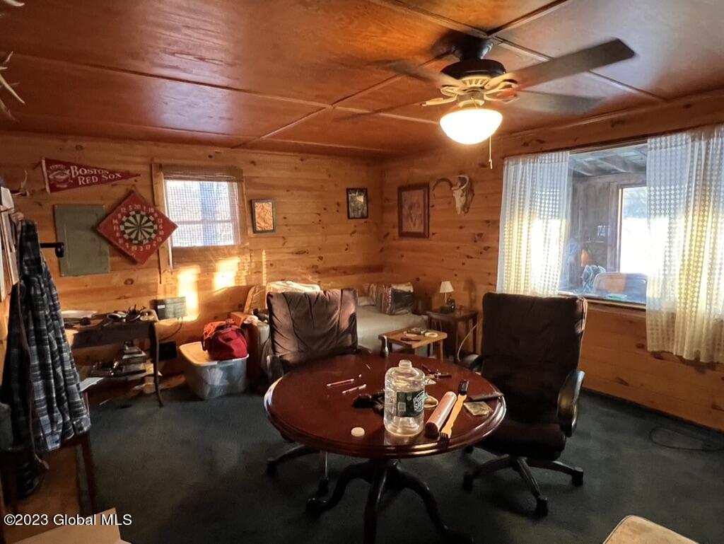 1108 Goodnow Flow Road Newcomb, NY 12852 - Photo 25 of 46 9D069AAC-3EA7-47F2-96B1-C157753F50EA_1_1