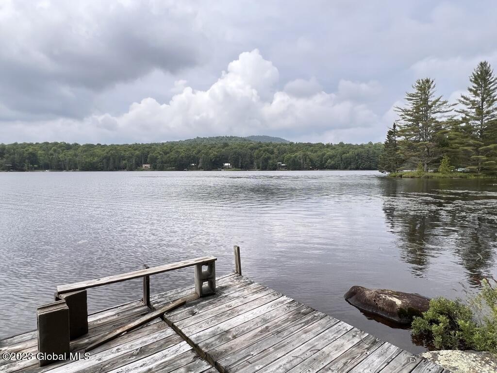 1108 Goodnow Flow Road Newcomb, NY 12852 - Photo 38 of 46 24C14830-85C9-4D57-AE33-2737A1006E07_1_1