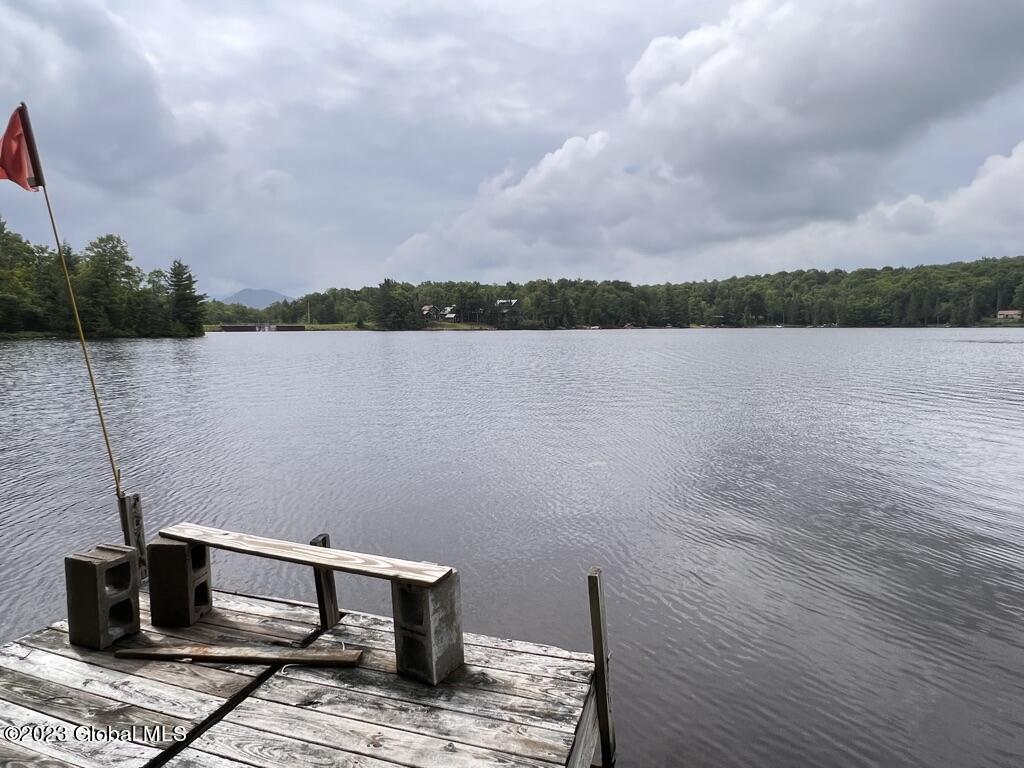 1108 Goodnow Flow Road Newcomb, NY 12852 - Photo 39 of 46 775C3348-3C57-49BD-8140-EBAD932919F0_1_1