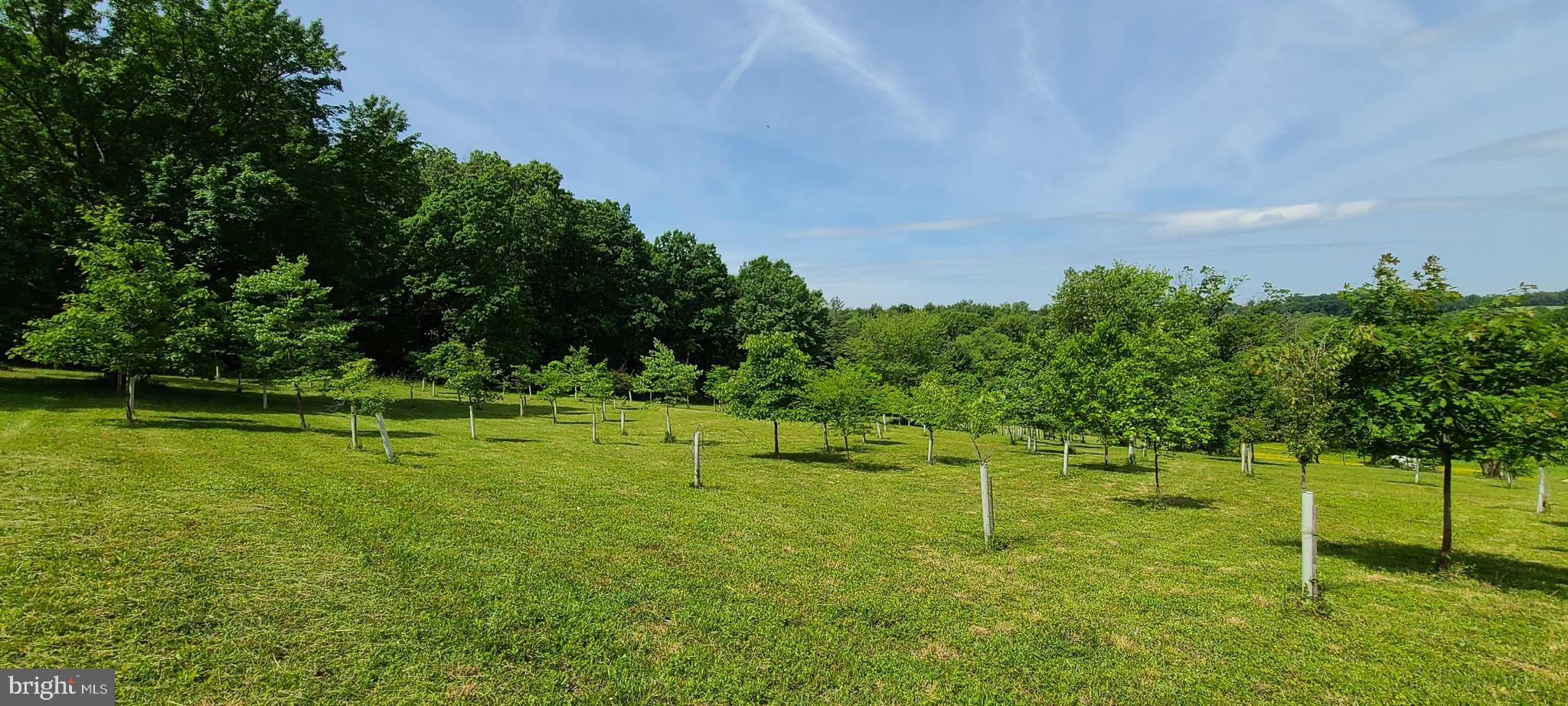 West Falls Road Mount Airy, MD 21771 - Photo 6 of 19