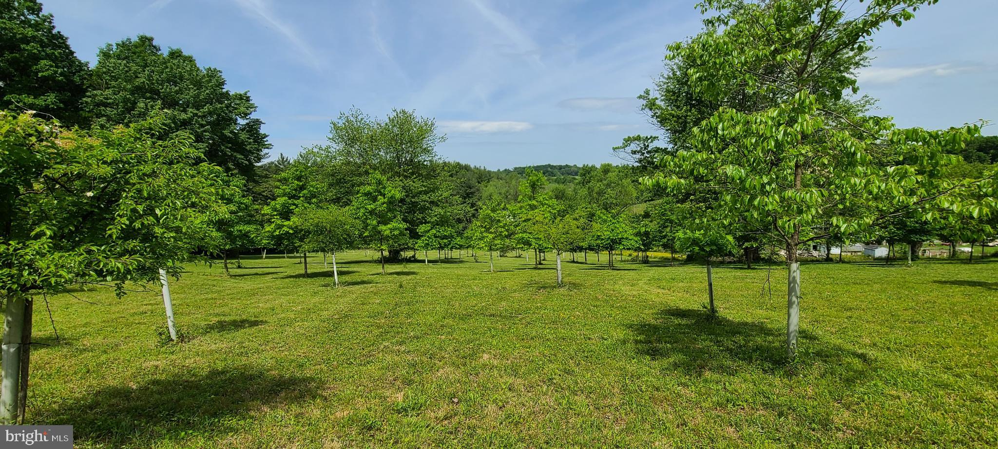 West Falls Road Mount Airy, MD 21771 - Photo 8 of 19