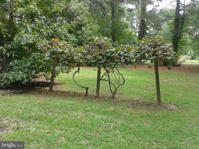 50340 Fresh Pond Neck Road Ridge, MD 20680 - Photo 3 of 5 a view of garden