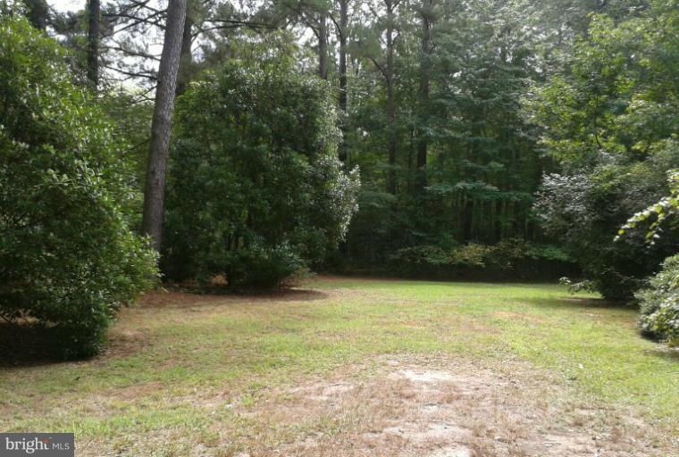 50340 Fresh Pond Neck Road Ridge, MD 20680 - Photo 4 of 5 a view of basketball court