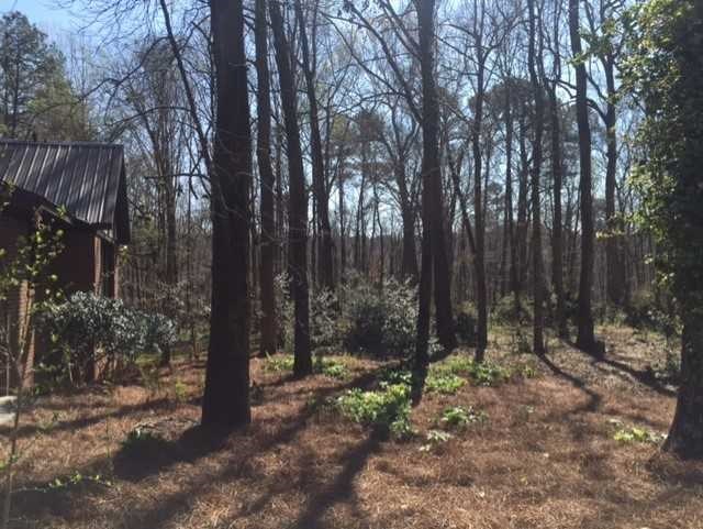 6875 Colaparchee Road, Unit 5A Macon, GA 31210 - Photo 4 of 39 a view of outdoor space with lots of green space and trees