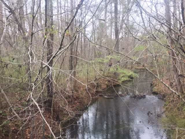 6875 Colaparchee Road, Unit 5A Macon, GA 31210 - Photo 32 of 39 a backyard of a house