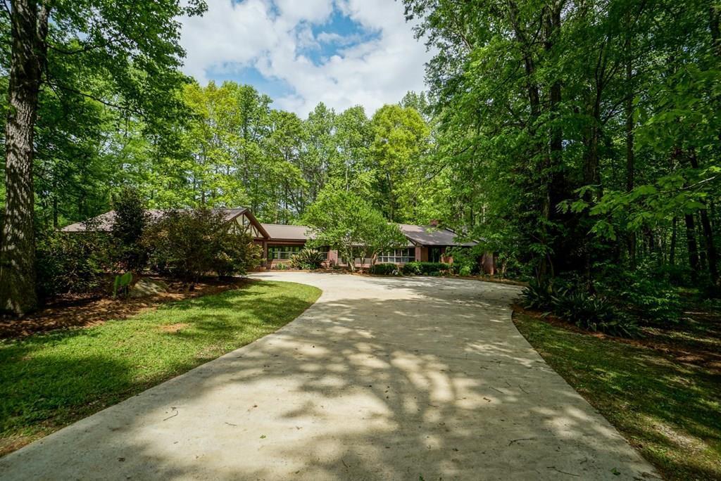 6875 Colaparchee Road, Unit 5A Macon, GA 31210 - Photo 7 of 39 a view of a yard with plants and trees