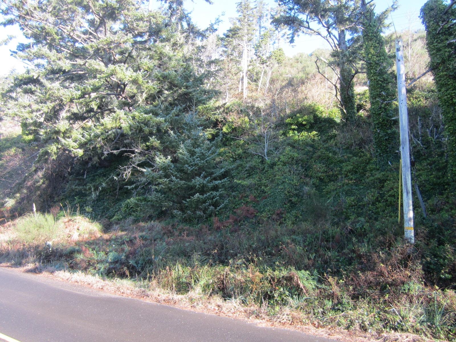 Vl Happy Camp Road Tillamook, OR 97141 - Photo 5 of 8 Lot