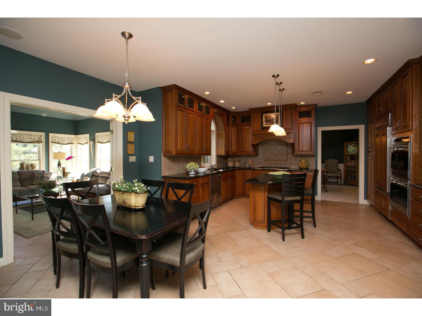 120 Belle Circle Blue Bell, PA 19422 - Photo 6 of 22 Kitchen