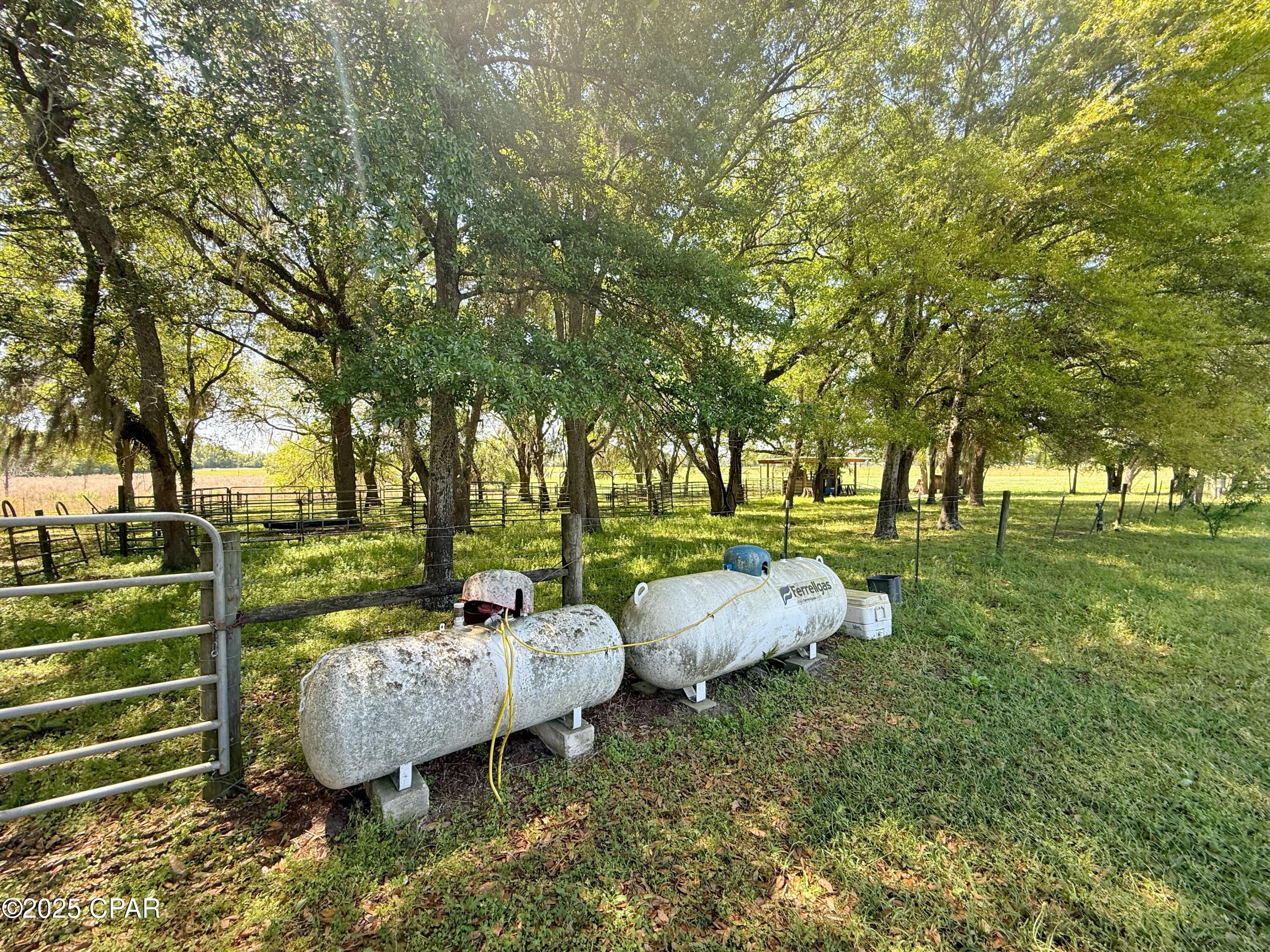 6491 Wolf Pond Road Bascom, FL 32423 - Photo 25 of 48