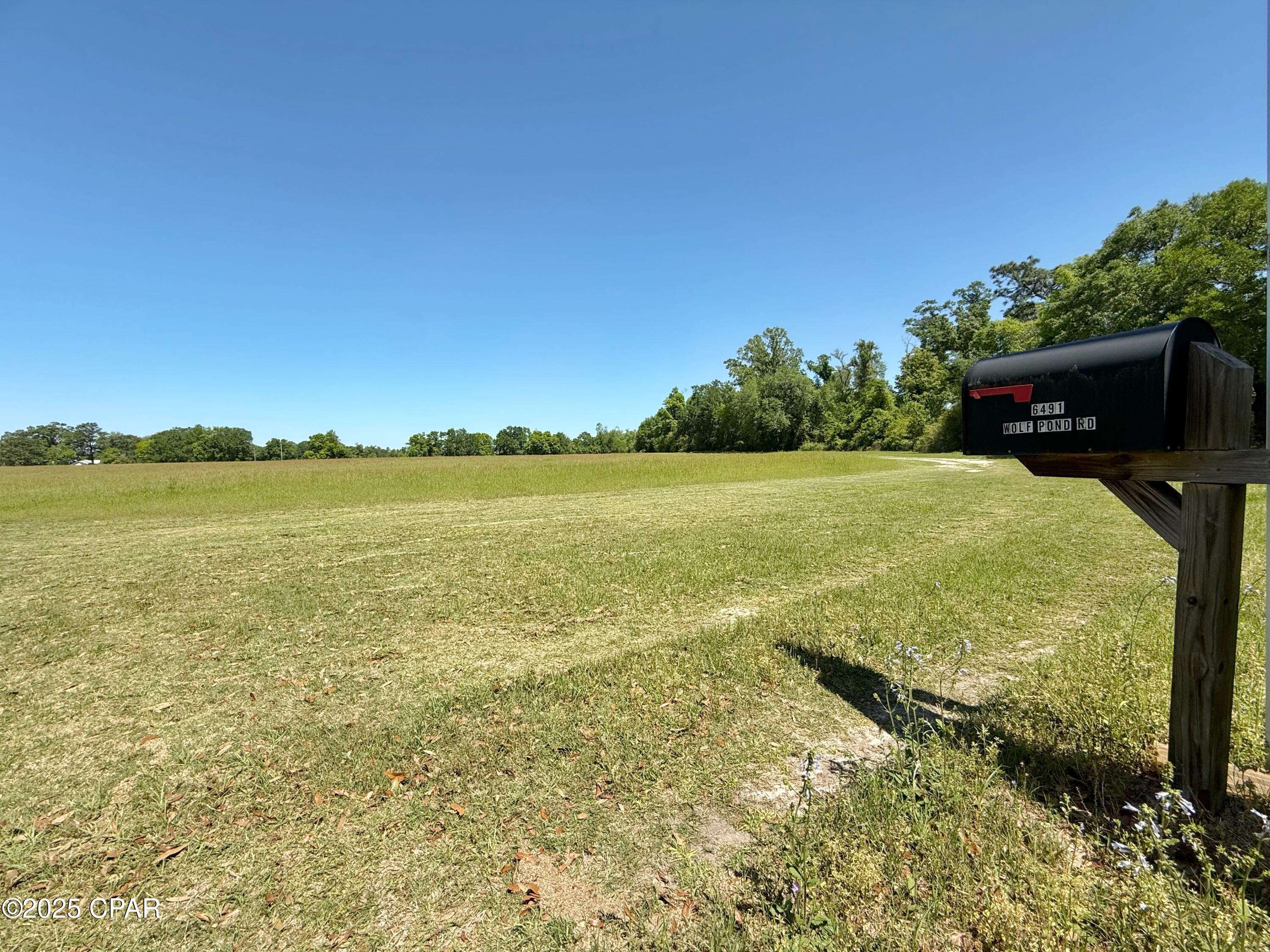 6491 Wolf Pond Road Bascom, FL 32423 - Photo 34 of 48