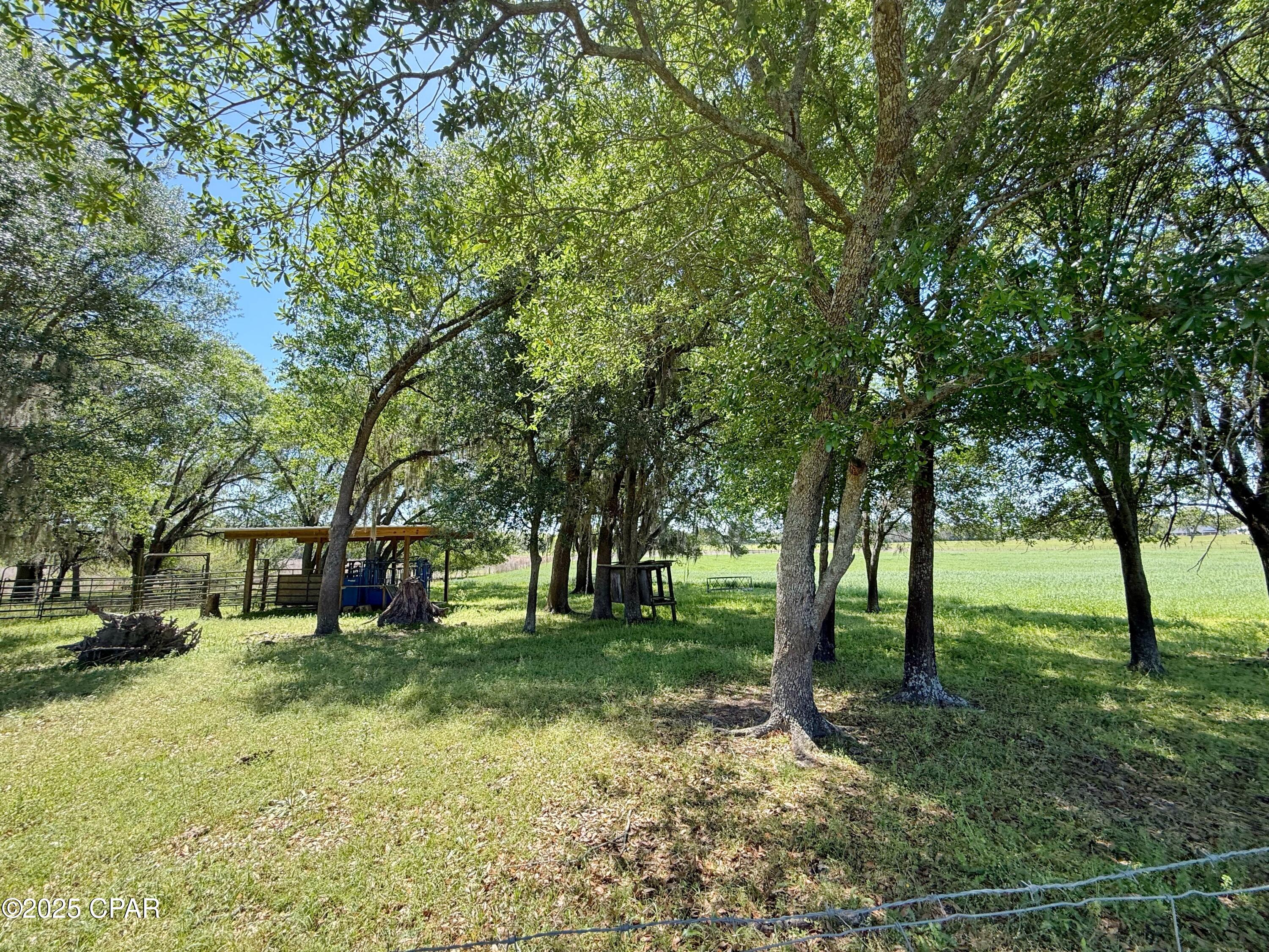 6491 Wolf Pond Road Bascom, FL 32423 - Photo 36 of 48