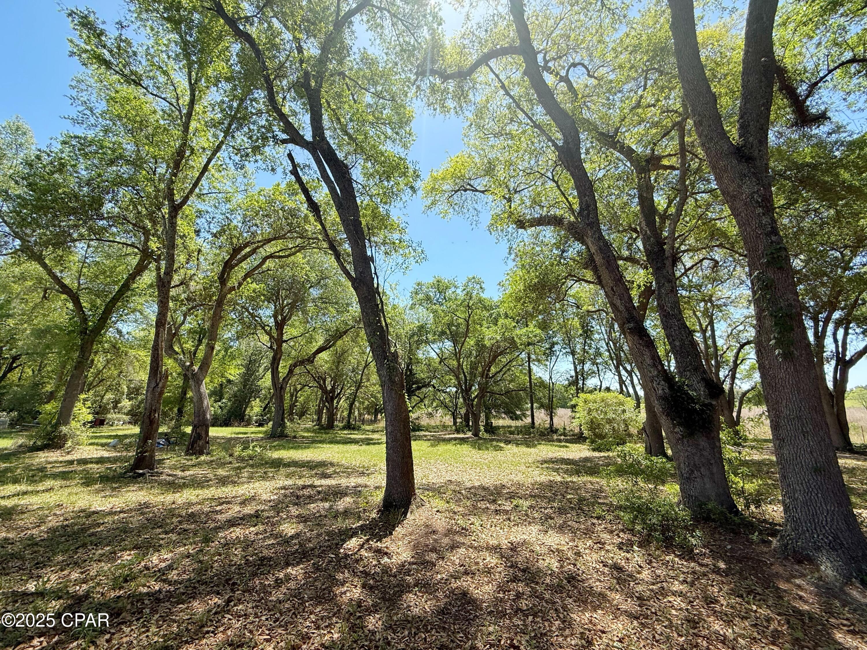 6491 Wolf Pond Road Bascom, FL 32423 - Photo 4 of 48