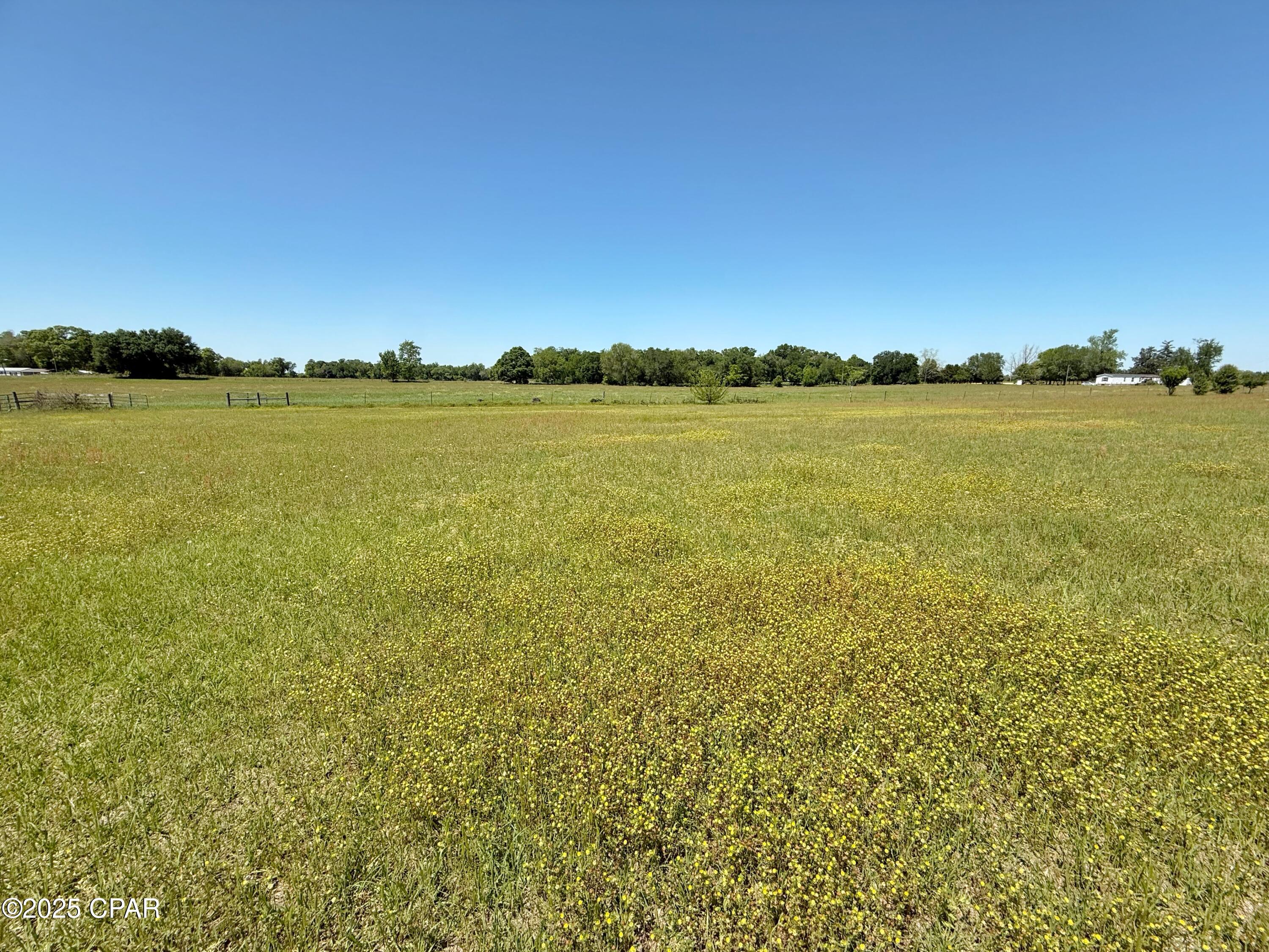 6491 Wolf Pond Road Bascom, FL 32423 - Photo 45 of 48