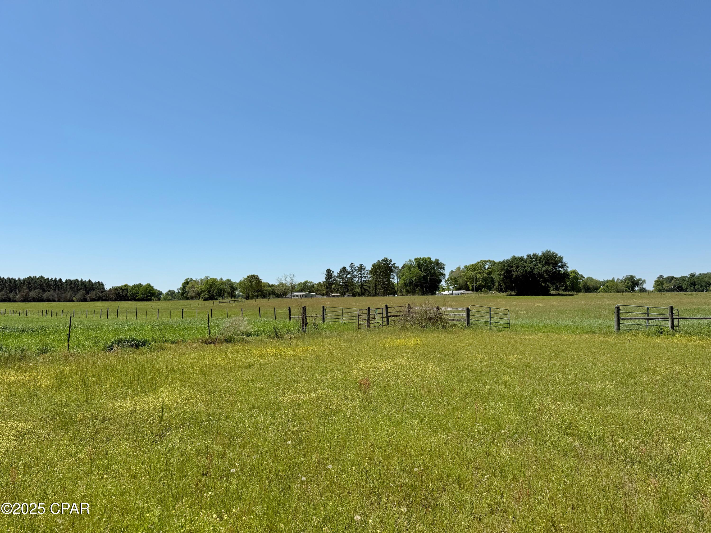 6491 Wolf Pond Road Bascom, FL 32423 - Photo 46 of 48