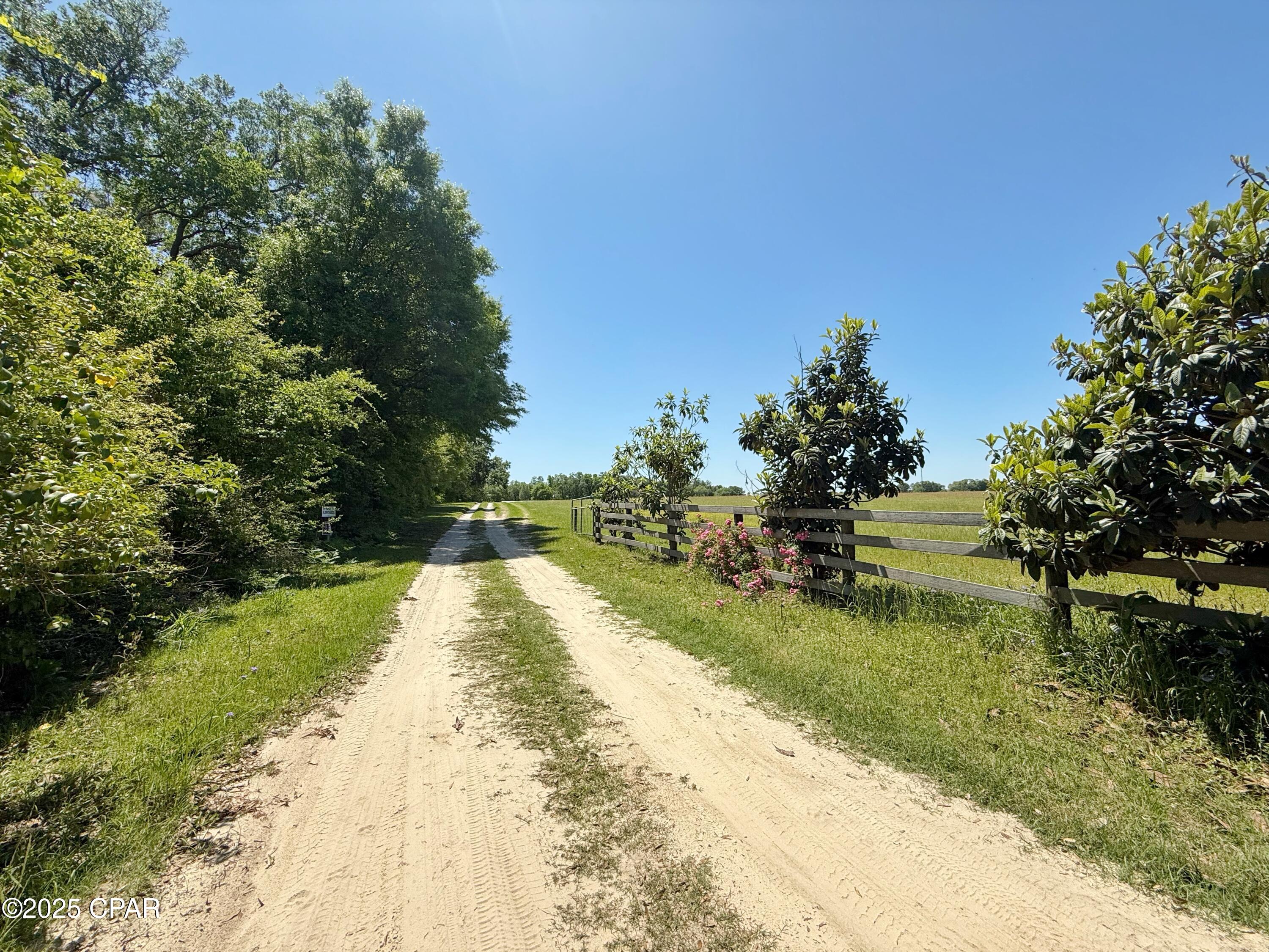 6491 Wolf Pond Road Bascom, FL 32423 - Photo 48 of 48