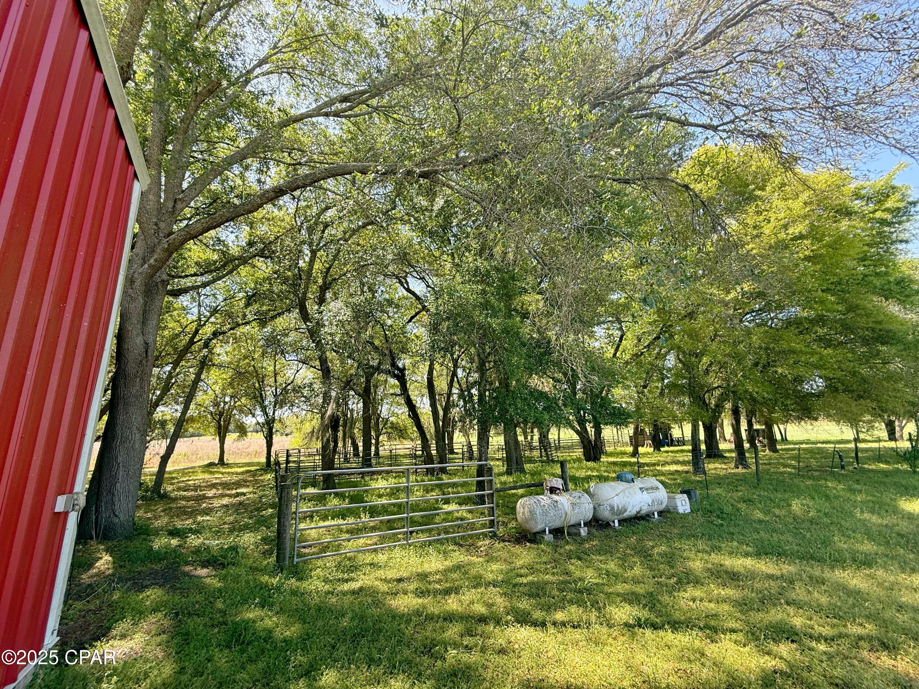 6491 Wolf Pond Road Bascom, FL 32423 - Photo 5 of 48