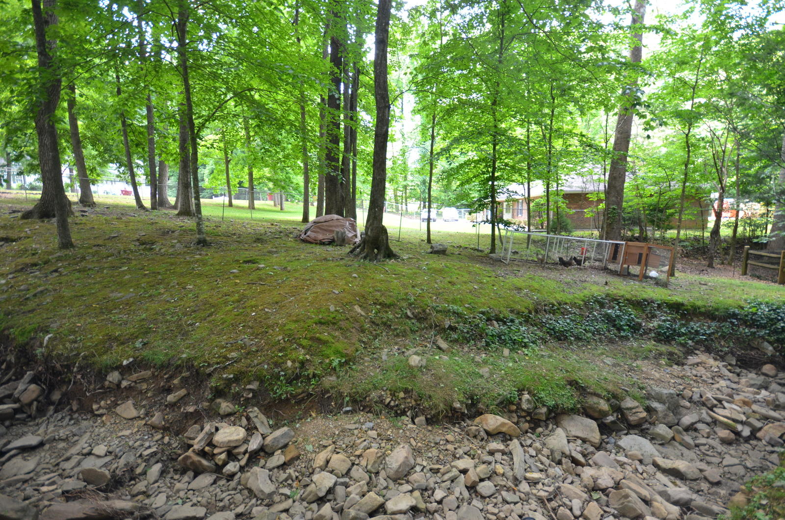 2134 David Miller Road Johnson City, TN 37604 - Photo 35 of 47 DSC_0770