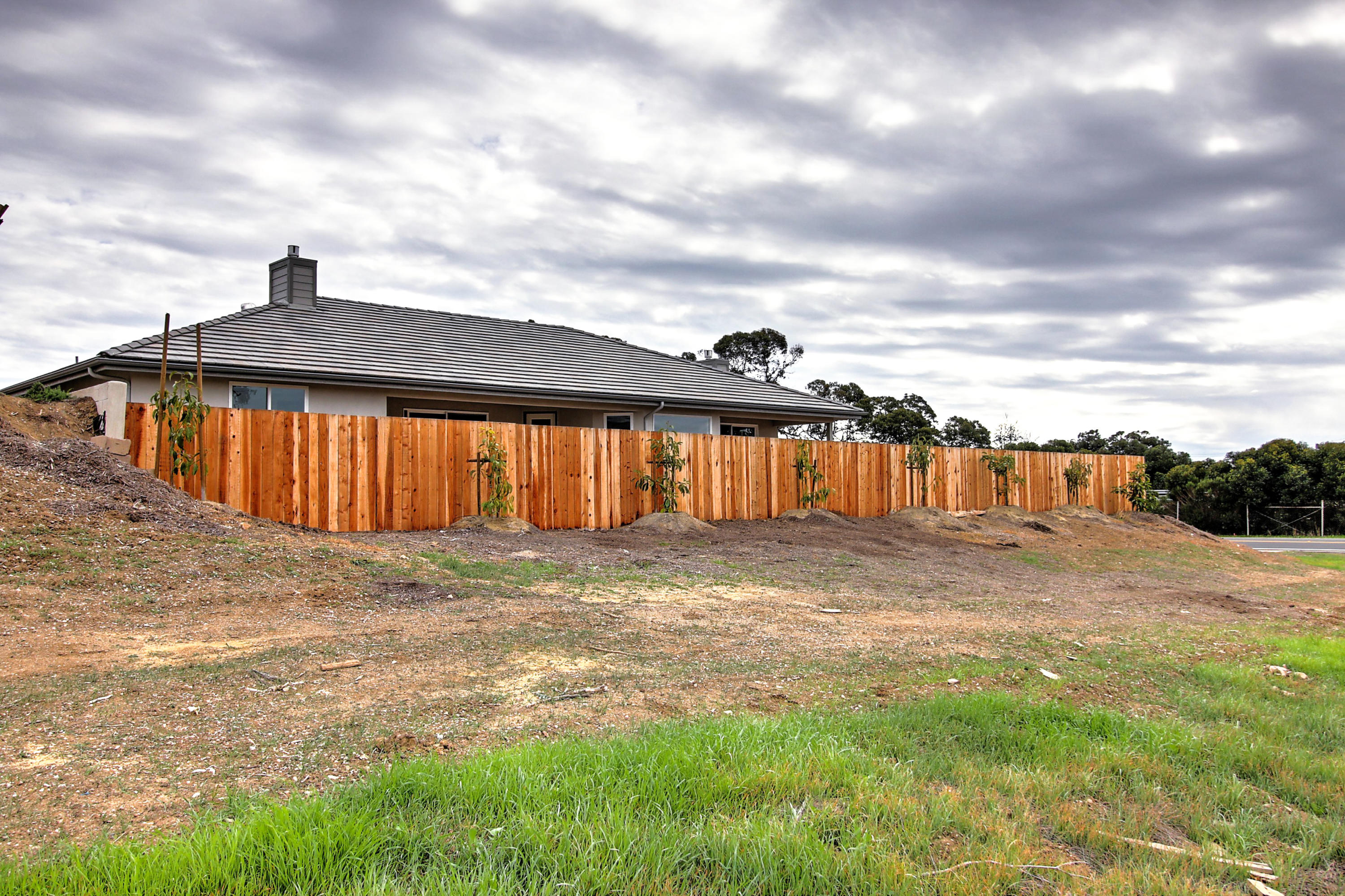3 Baker Lane Goleta, CA 93117 - Photo 36 of 41 avocado trees